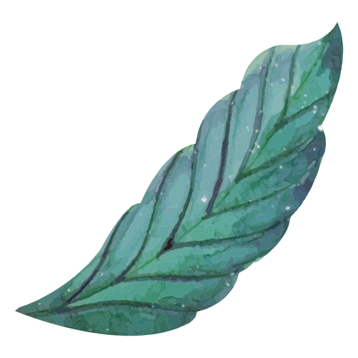 Long leaf watercolor PNG Design