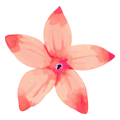 Pink flower watercolor PNG Design