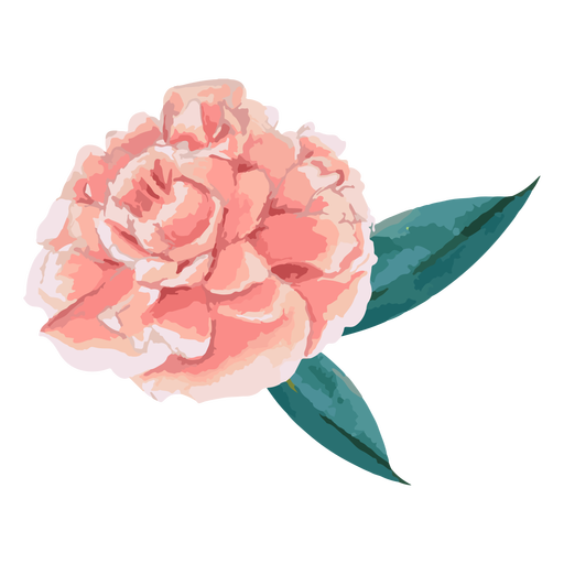 Flor rosa con hojas acuarela Diseño PNG