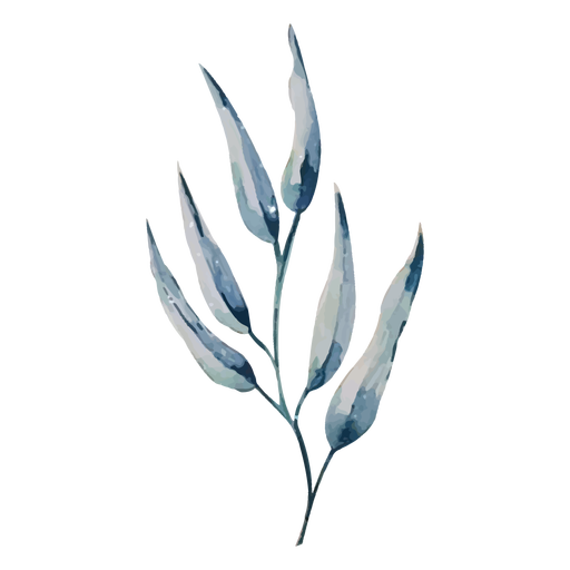 Dünne Blätter Zweig Aquarell PNG-Design