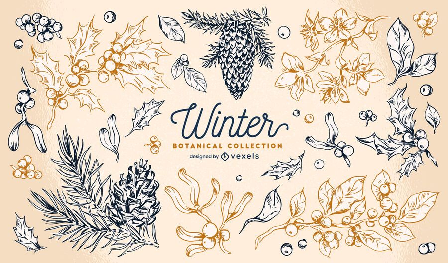Winter elements botanical collection Winter elements botanical collection