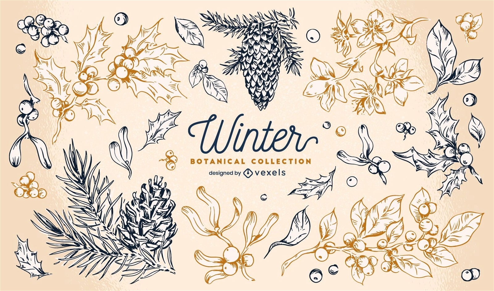Colección botánica de elementos de invierno