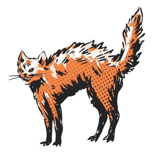 Ilustração de gato eriçado Desenho PNG