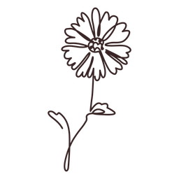 Diseño PNG Y SVG De Trazo De Dibujo De Línea De Planta De Flor De Margarita Para Camisetas Diseño PNG Y SVG De Trazo De Dibujo De Línea De Planta De Flor De Margarita Para Camisetas