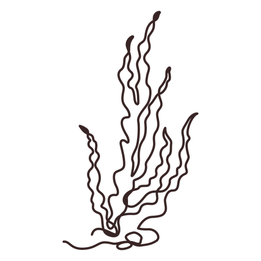 Desenho de linha de arbusto de planta interna Desenho PNG