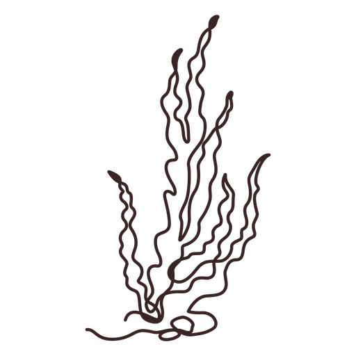 Indoor plant bush line drawing PNG Design