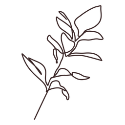 Leafy branch line drawing PNG Design Transparent PNG