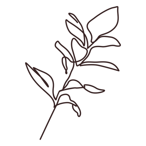 Leafy branch line drawing - Transparent PNG & SVG vector file