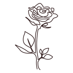 Leafy poppy flower plant PNG Design