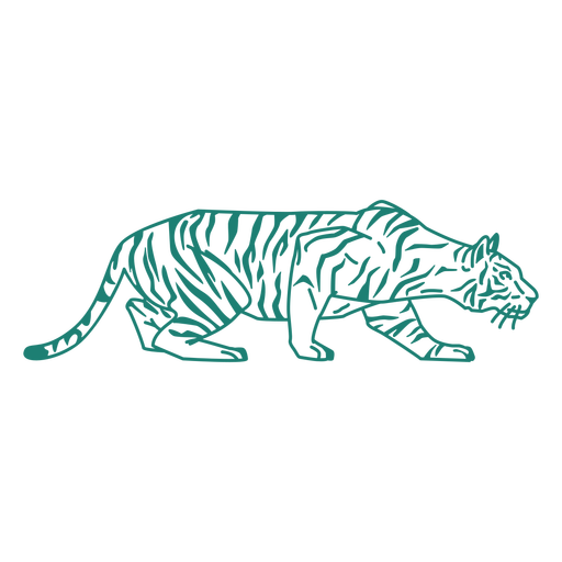 Lauernder Tigerentwurf PNG-Design