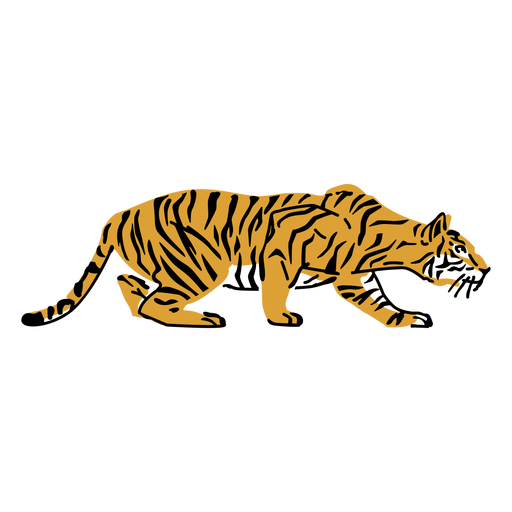Dibujado a mano tigre al acecho Diseño PNG