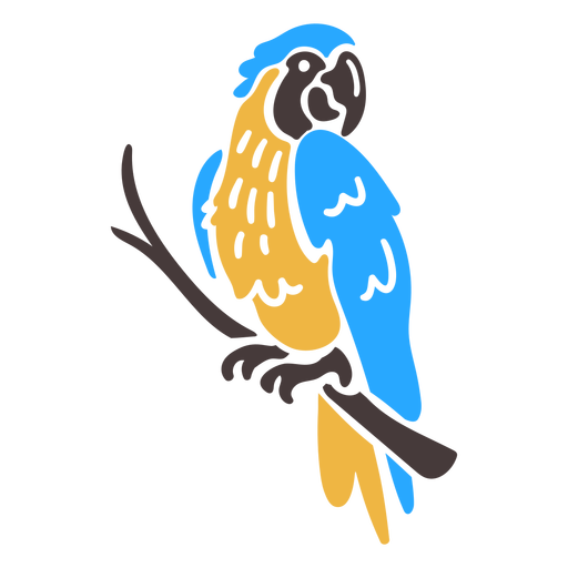 Doodle de pájaro tropical guacamayo Diseño PNG