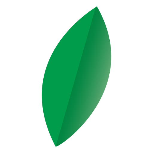 Ovales Blatt Naturikone PNG-Design