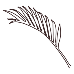 Palm branch line drawing PNG Design Transparent PNG