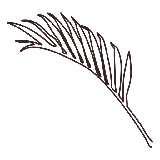 Palm Branch Strichzeichnung PNG-Design