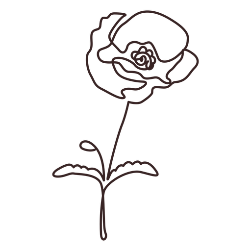 Dibujo de l?nea de planta de flor de amapola Diseño PNG