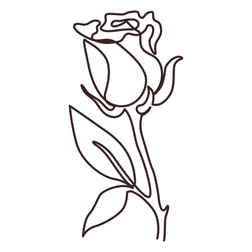 Rose Plant Line Drawing Stroke Transparent Png And Svg Vector File