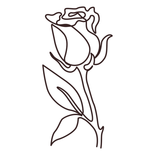 Strichzeichnung der Rosenpflanze PNG-Design