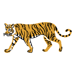Tigre caminando linda mirada Diseño PNG