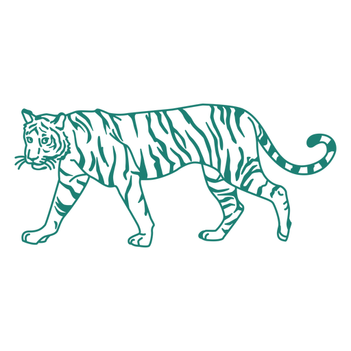 Design bonito de tigre ambulante Desenho PNG