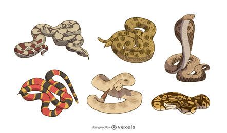 Snake serpent illustration set