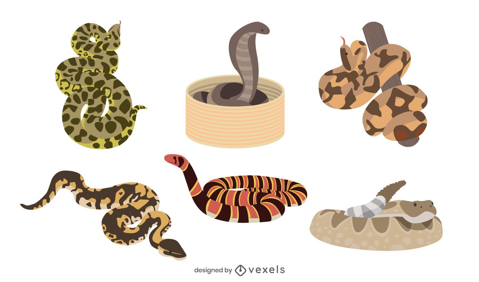 Snake flat illustration set