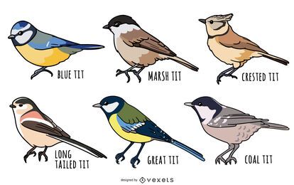 Conjunto de ilustración de pájaros tit Conjunto de ilustración de pájaros tit