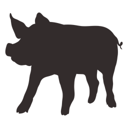 Vorderansicht stehendes Schwein Silhouette PNG-Design