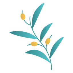 Projeto de planta de oliva de Hanukkah Desenho PNG