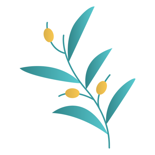 Chanukka Olivenpflanzen Design PNG-Design