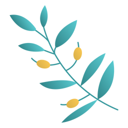 Diseño plano de la planta de olivo de Hanukkah Diseño PNG