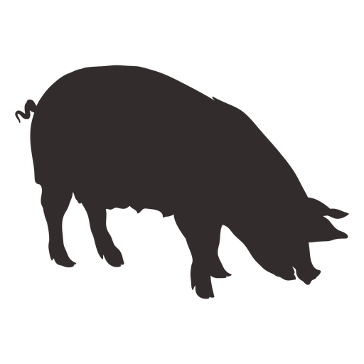 Download Large pig silhouette side view - Transparent PNG & SVG vector file