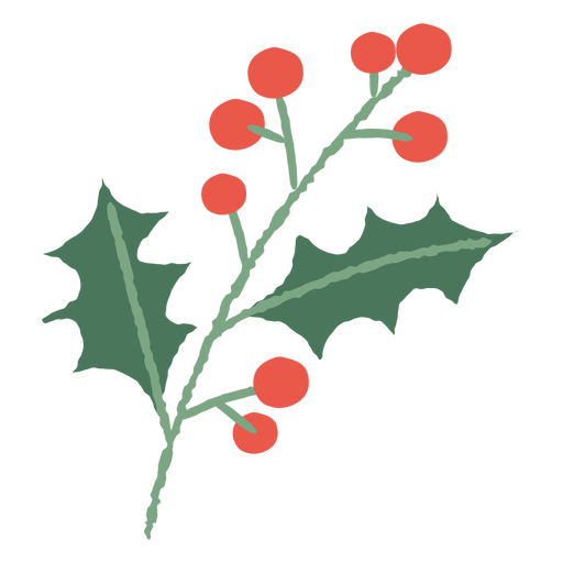 Mistletoe branch christmas illustration - Transparent PNG ...