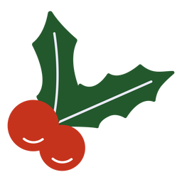 Mistletoe traditional flat design PNG Design