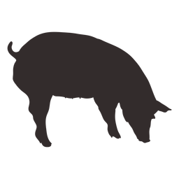 Silueta de cerdo que huele Diseño PNG