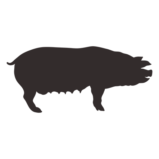 Standing pig silhouette animal