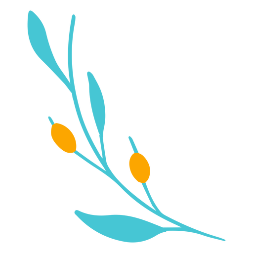 Traditional olive plant design PNG Design