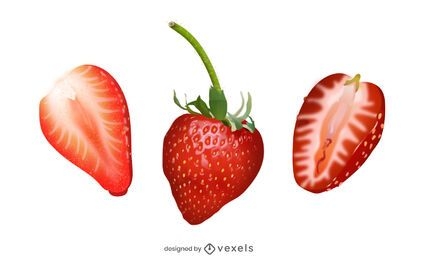 Realistischer Erdbeer-Illustrationssatz