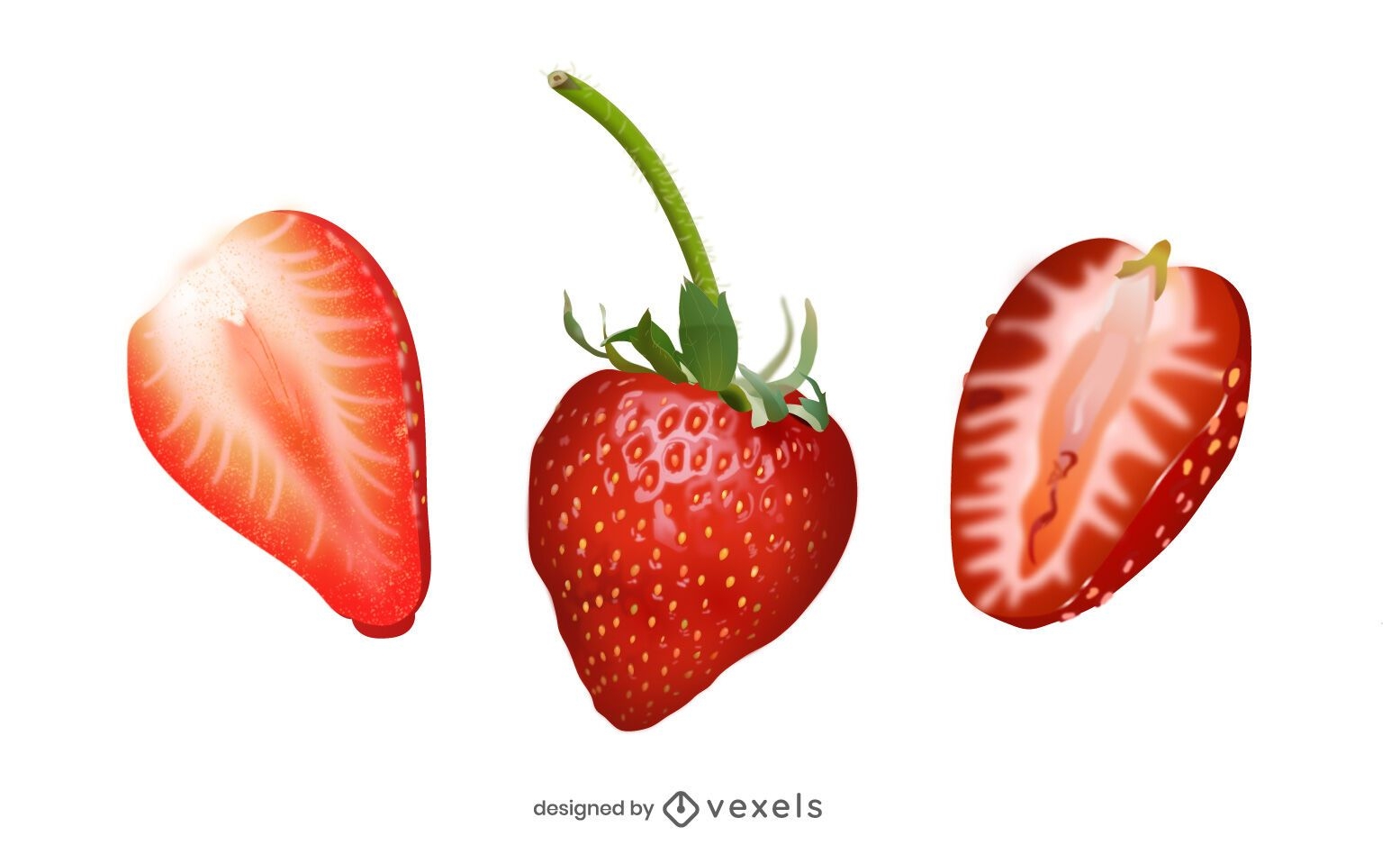 Realistic strawberry illustration set