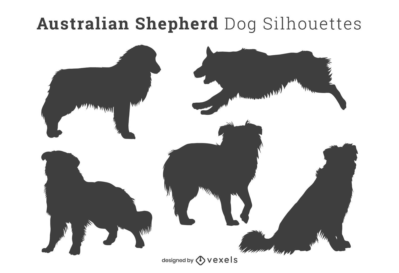 Australische Schäferhund-Silhouetten