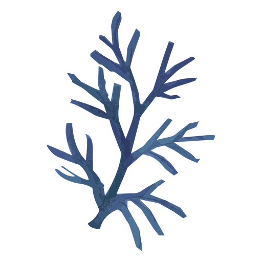 Aquarela ramo azul Desenho PNG