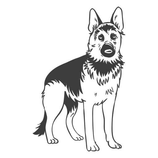 German shepherd standing hand drawn - Transparent PNG & SVG vector file