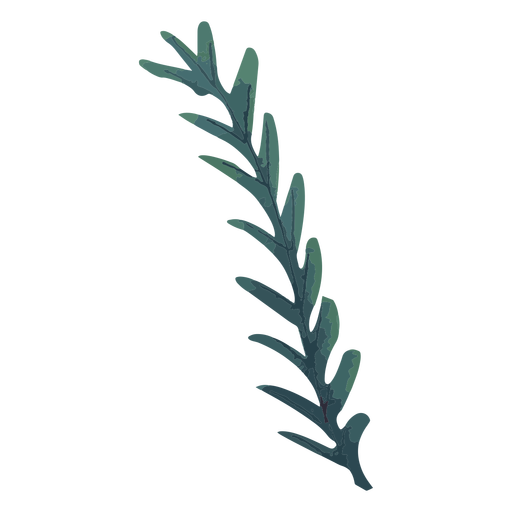 Planta em aquarela de ramo verde Desenho PNG
