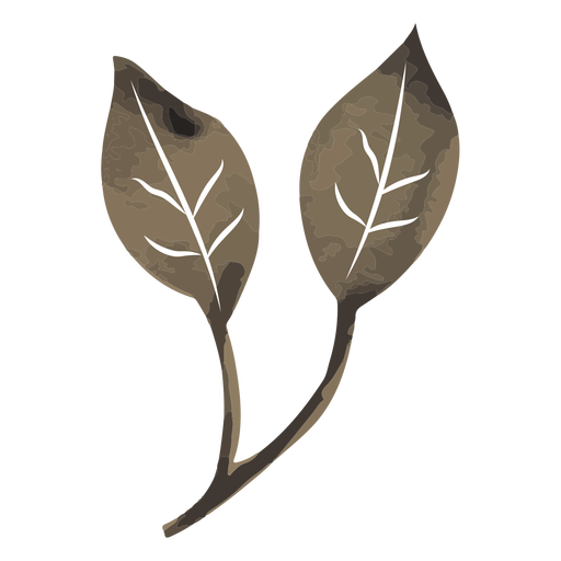 Aquarela de ramo de duas folhas Desenho PNG