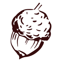 Bolota detalhada desenhada à mão Desenho PNG