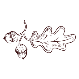 Ramo de bolotas desenhado à mão Desenho PNG