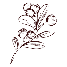 Cranberries branch hand drawn PNG Design