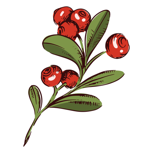 Cranberries branch illustration Transparent PNG & SVG vector file