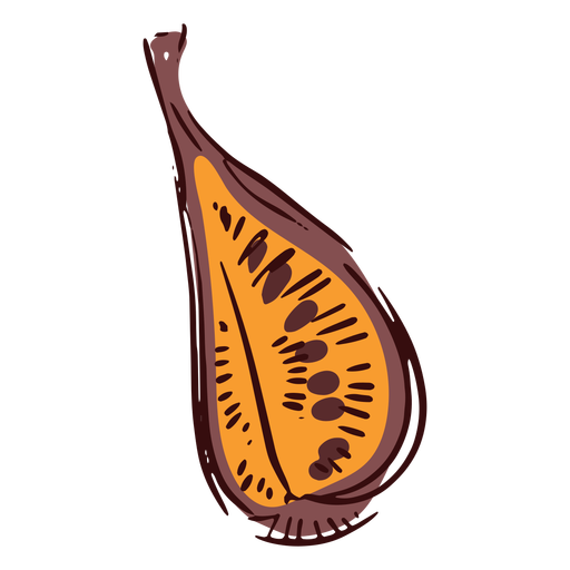 Cutted fig illustration