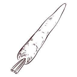 Detailed carrot hand drawn Transparent PNG